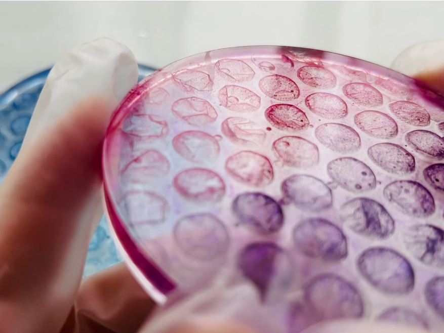 Ŝd܂ŁA24Ԃ܂B̂𔭑Ă܂B