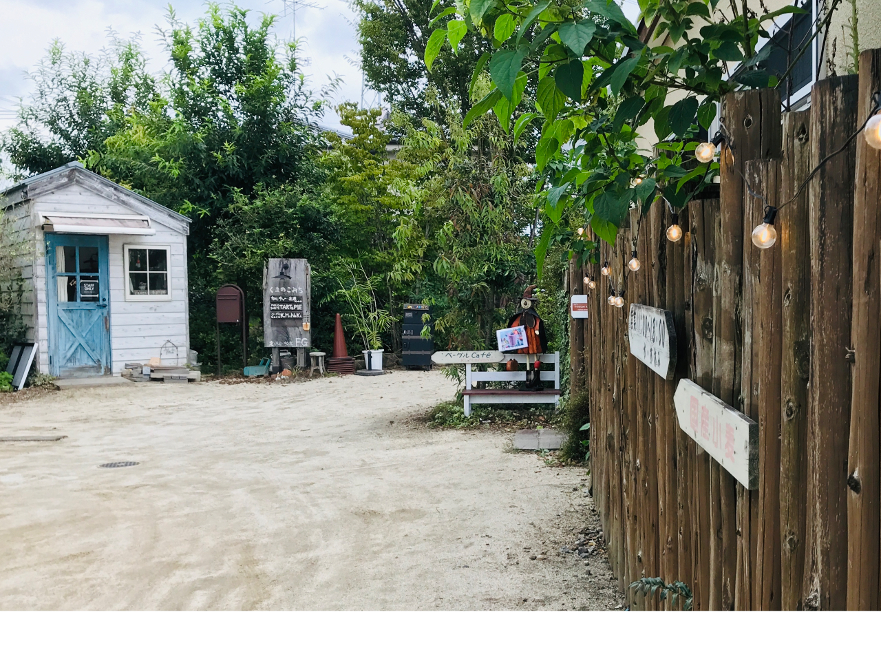 【陶芸体験】オリジナルマグカップやお皿作り体験♪女性、ファミリー、お友達同士にお...