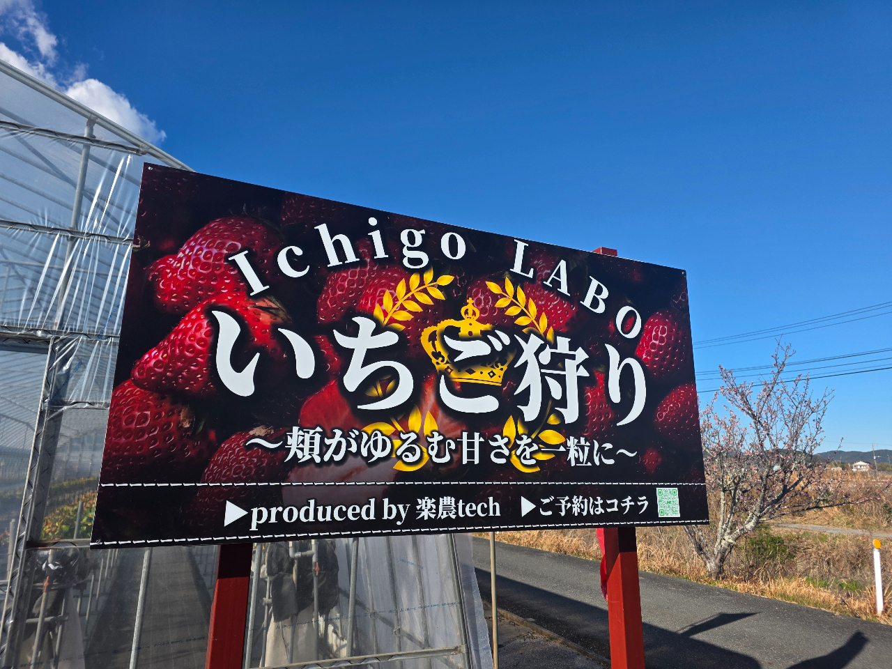 ������LABO�̎ʐ^3