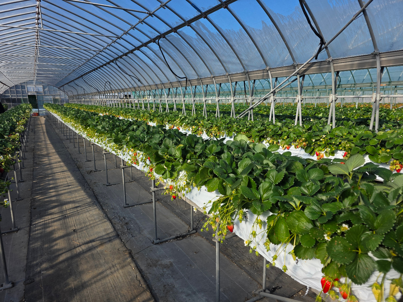 ������LABO�̎ʐ^4