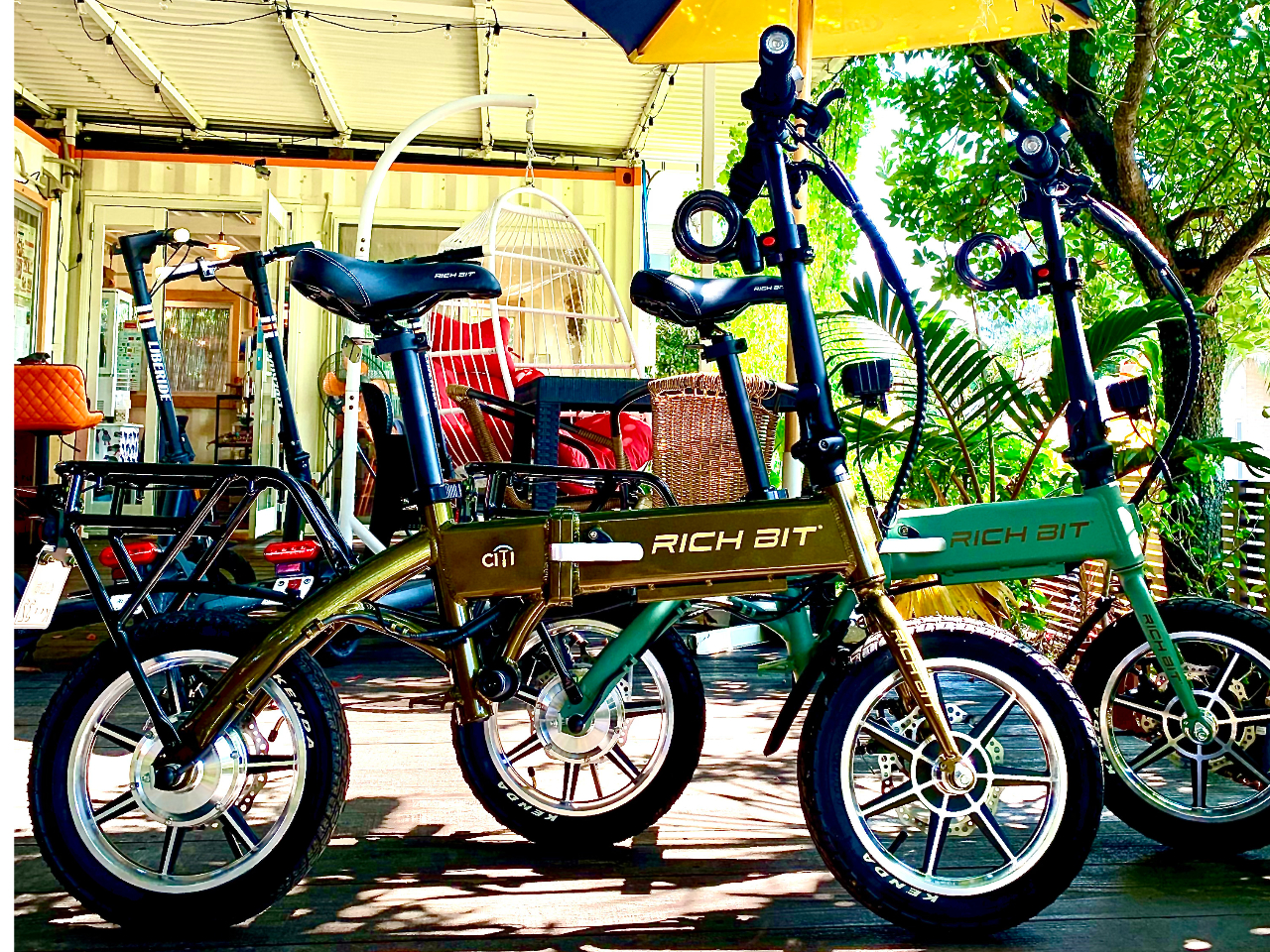 �X�^�C���b�V���ȃJ���[�ŋC�����A�K��܂�����΂�J���[�̃S�[���f���I���[�u�ƃ����W���[�O���[����