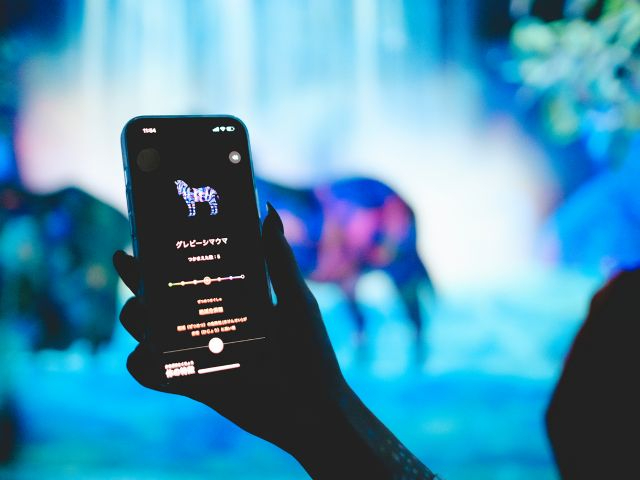 *捕まえて集める森*スマートフォンを片手に探索し、様々な動物を捕まえ、観察し、自分のコレクション図鑑を作っていきます♪