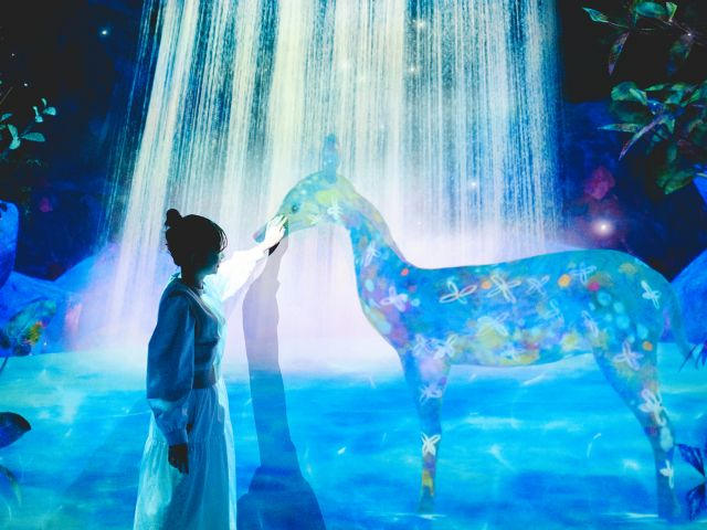 チームラボフォレストは捕まえ、観察し、解き放つ「捕まえて集める森」と、身体で立体的に考える「運動の森」からなる新しいミュージアムです♪