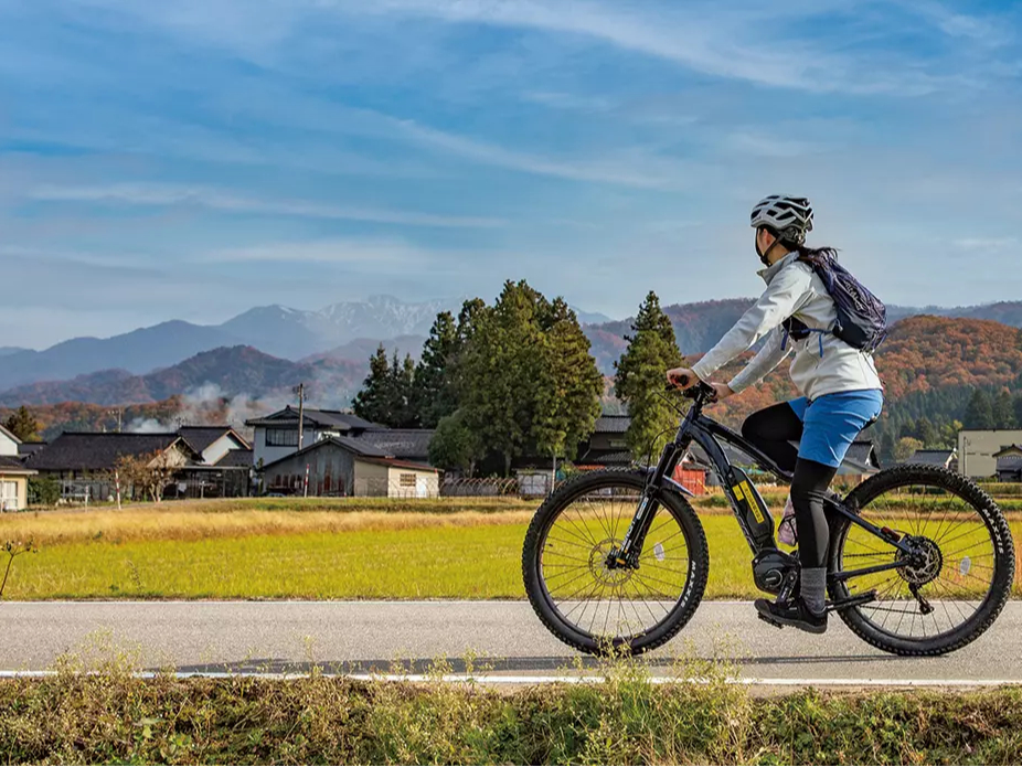 ʂȌiςDȂuRvTCNOʂđ̊Ă݂܂񂩁H