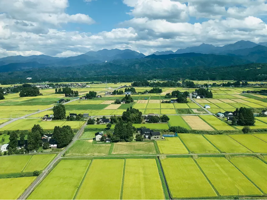 n葱LȓcƂ̐ɂ͕xRpLĂ܂