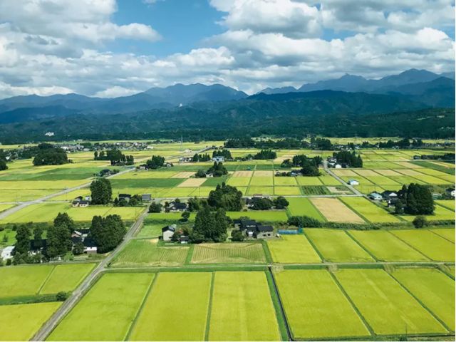 見渡す限り続く豊かな田園とその先には富山湾が広がっています♪