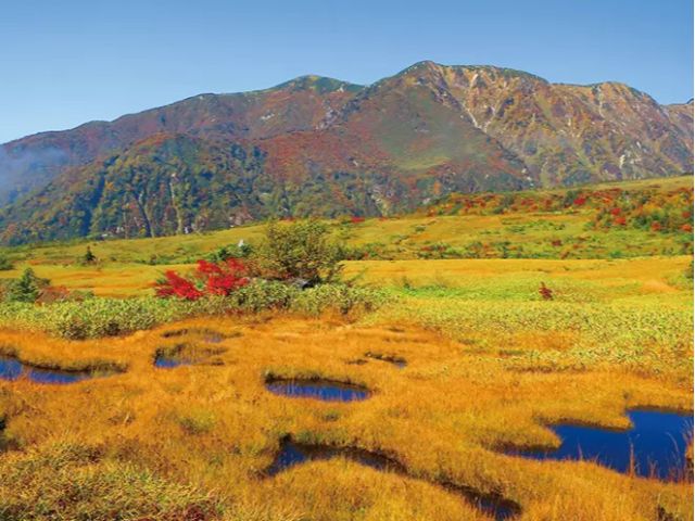 里には立山連峰からの清らかな雪解け水が育んだ美しい風景が広がっています♪