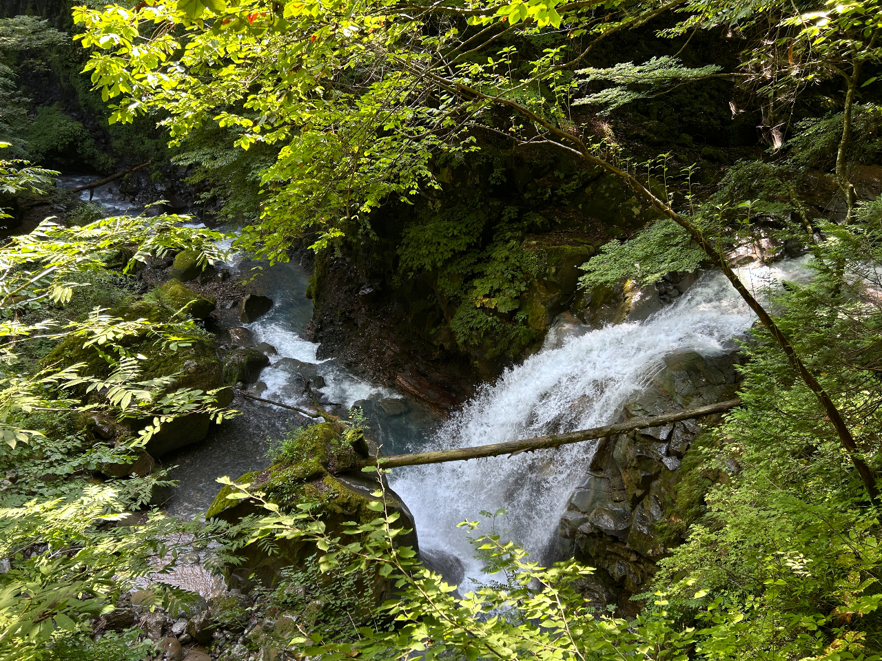 R͐̎R@召܂܂ȔꂪDȂkJ\B