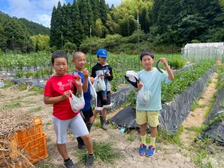菌ちゃん農法の畑で取れた野菜をぜひ取りに来てください^^