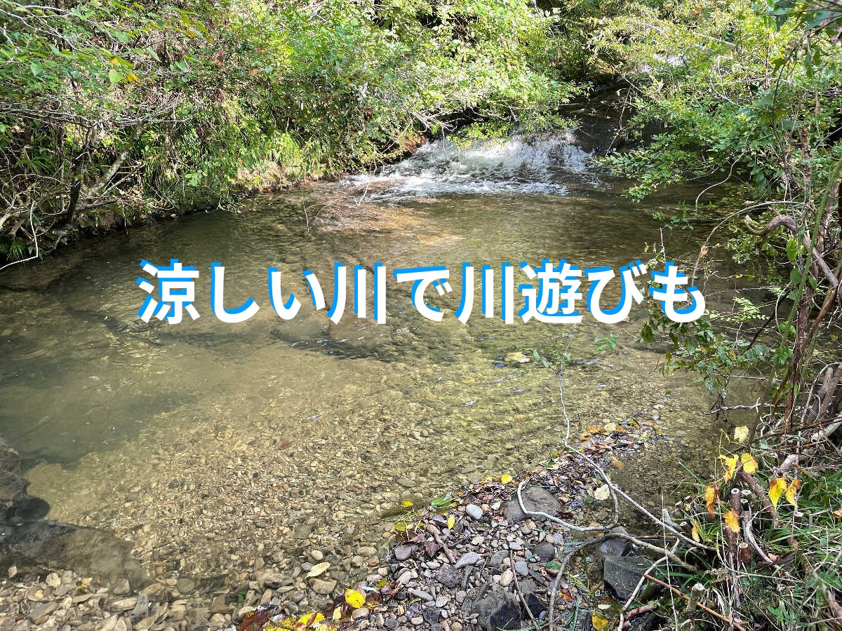 n̎ԈȊOɂ̂܂܎Ԃ߂ĐŗV񂾂ł܂BV[̓Lv̖V[pB