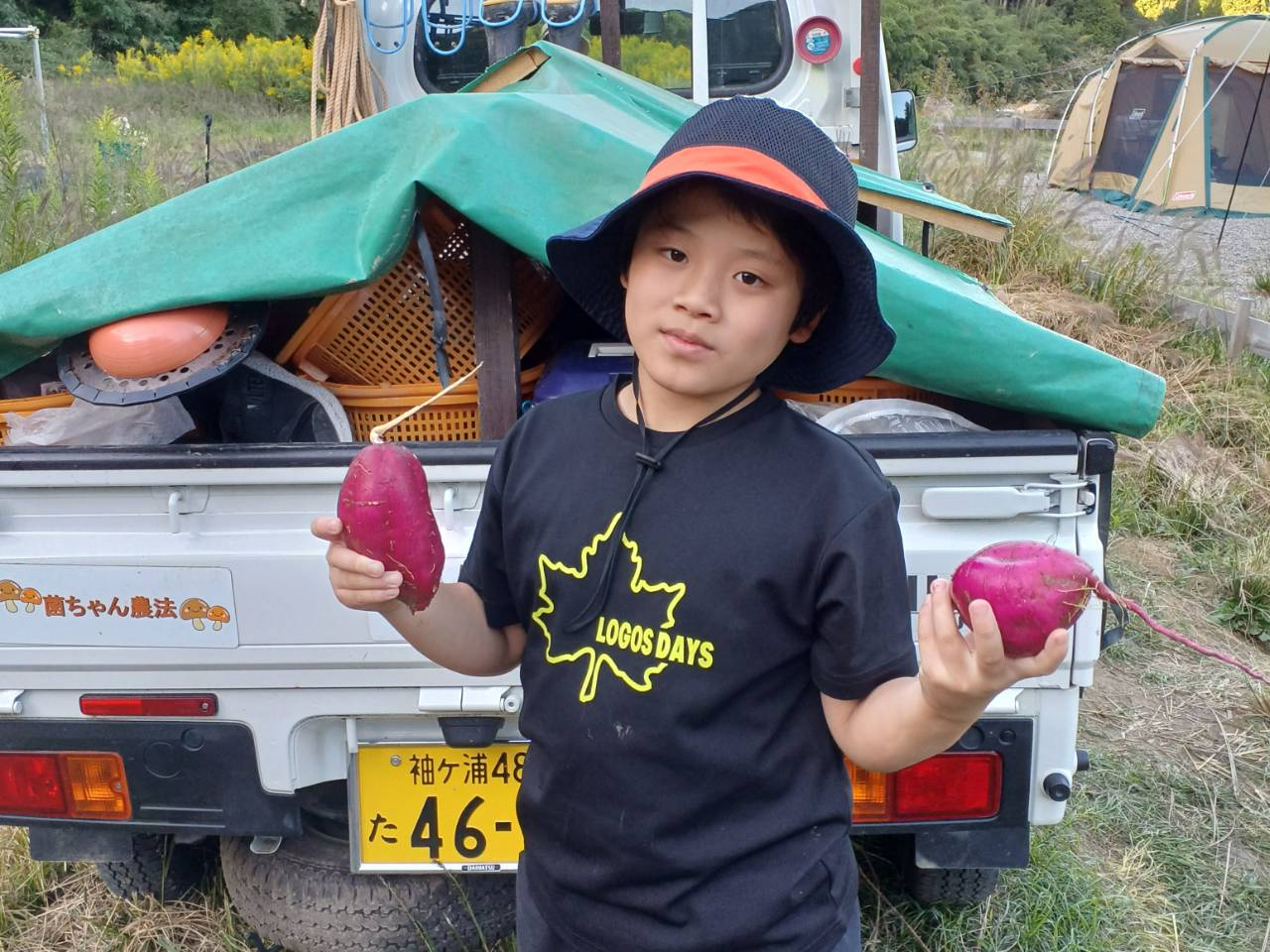 Natural farming 七田式 腸脳相関 菌活 食養生 自然栽培野菜 Natural farming 七田式 腸脳相関 菌活 食養生 自然栽培野菜（高