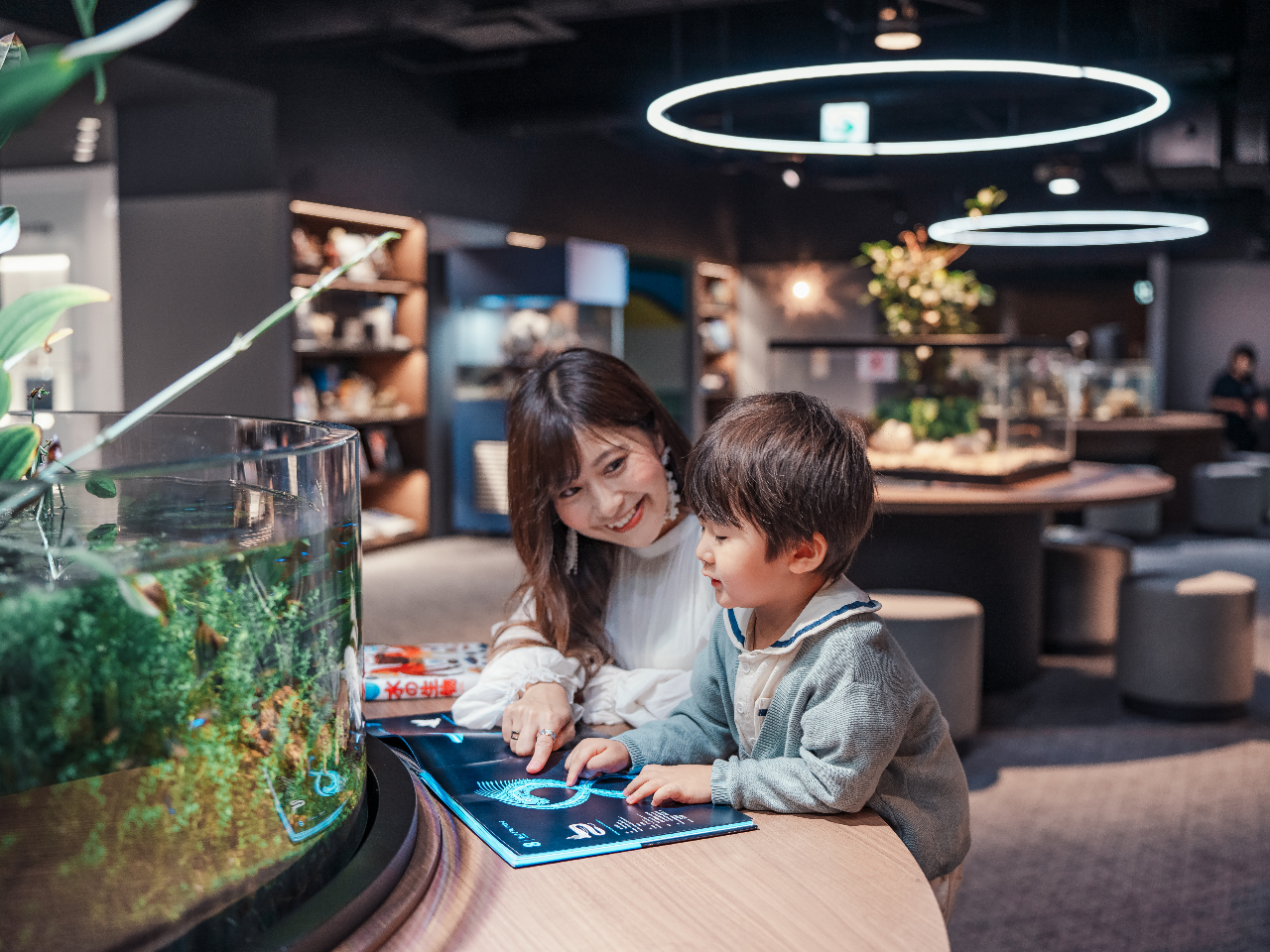 uDiscoveryvF̂𒭂߂ȂǏy߂܂Bt[Wi-Fi