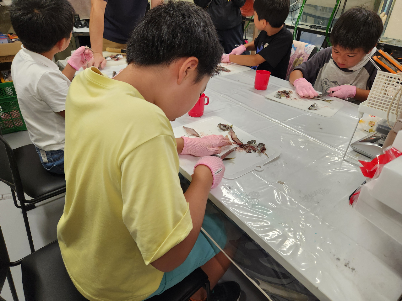 ������̌��̗l�q