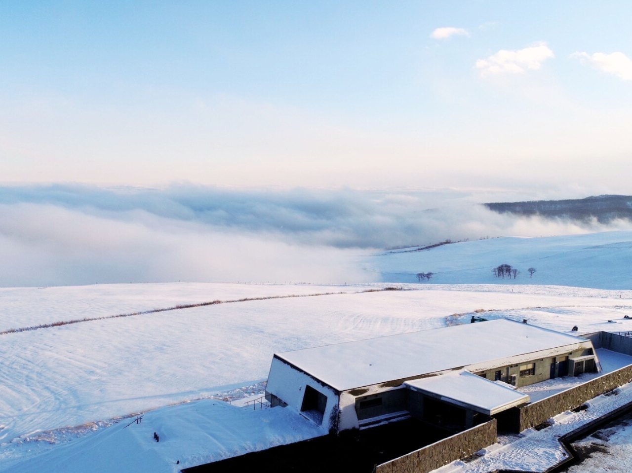 �~�̃i�C�^�C�e���X�͓��c�A�[�̎Q���҂����ɓ��ʊJ�����܂�