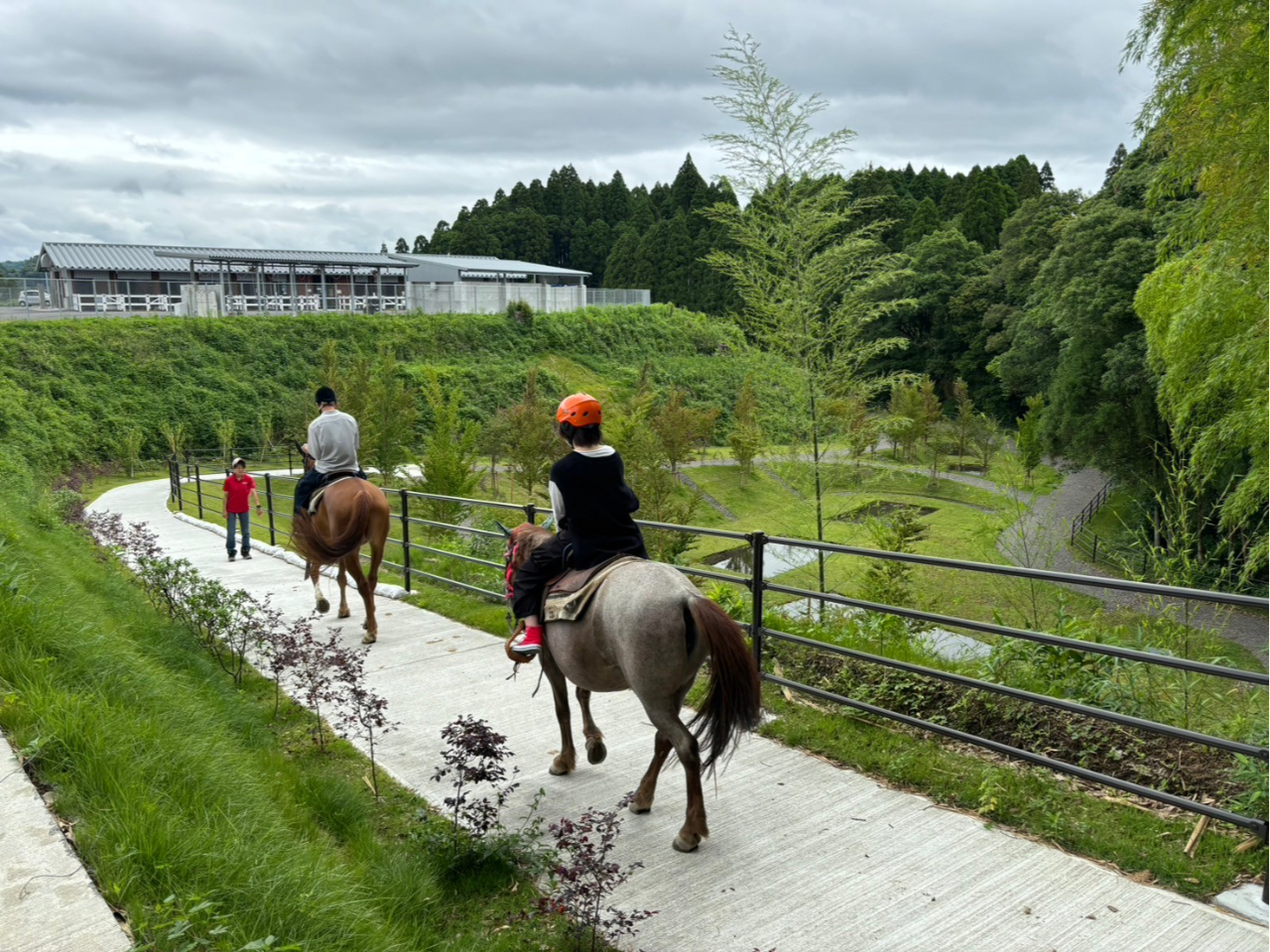 鹿児島県×乗馬体験】ミニ遠乗り☆自分で手綱を持ってお散歩体験