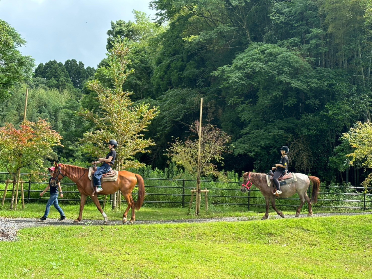 鹿児島県×乗馬体験】ミニ遠乗り☆自分で手綱を持ってお散歩体験