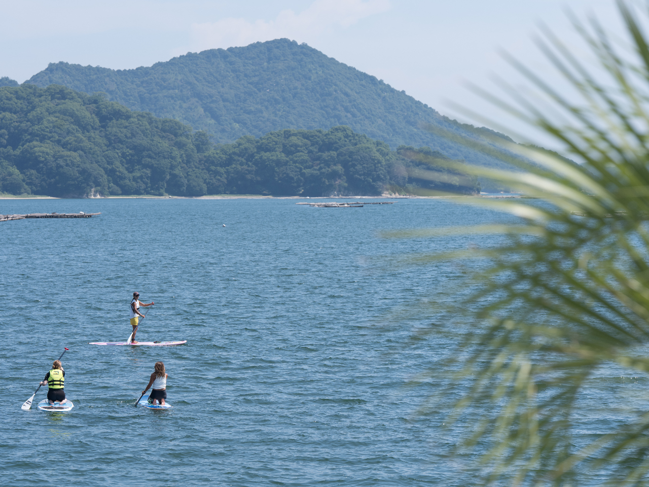 �_�ڂ̑O�ɍL����{���𒭂߂Ȃ���c�^