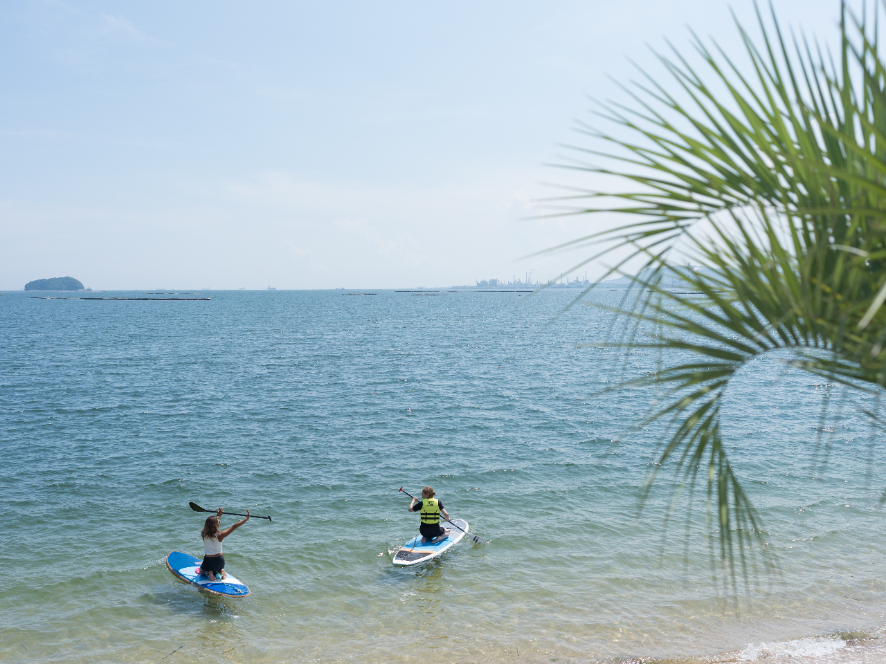 �_���q�l�̂��󋵂ɍ��킹�ăC���X�g���N�^�[���J�X�^�}�C�Y�I�^