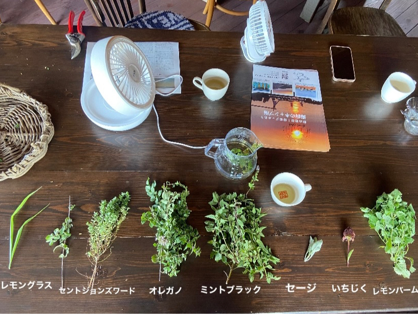 G߂ɉĂɂn[uƒǂȂ܂傤