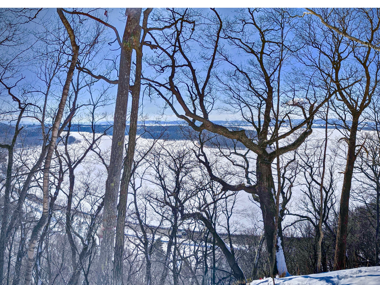 ~̏ZՃcA[ł́AXy߂܂