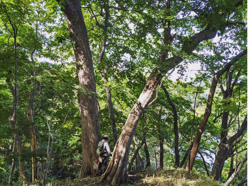 縄文の村へ訪問
