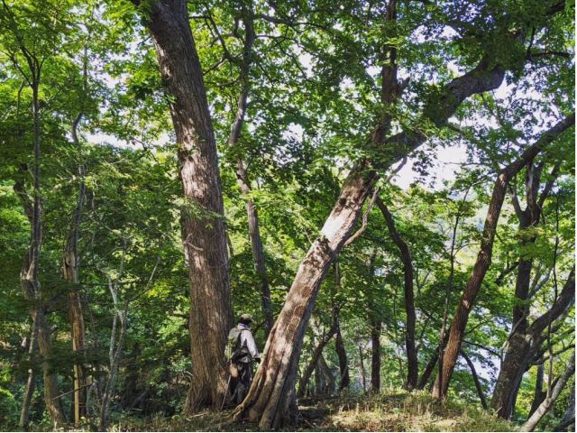 縄文の村へ訪問