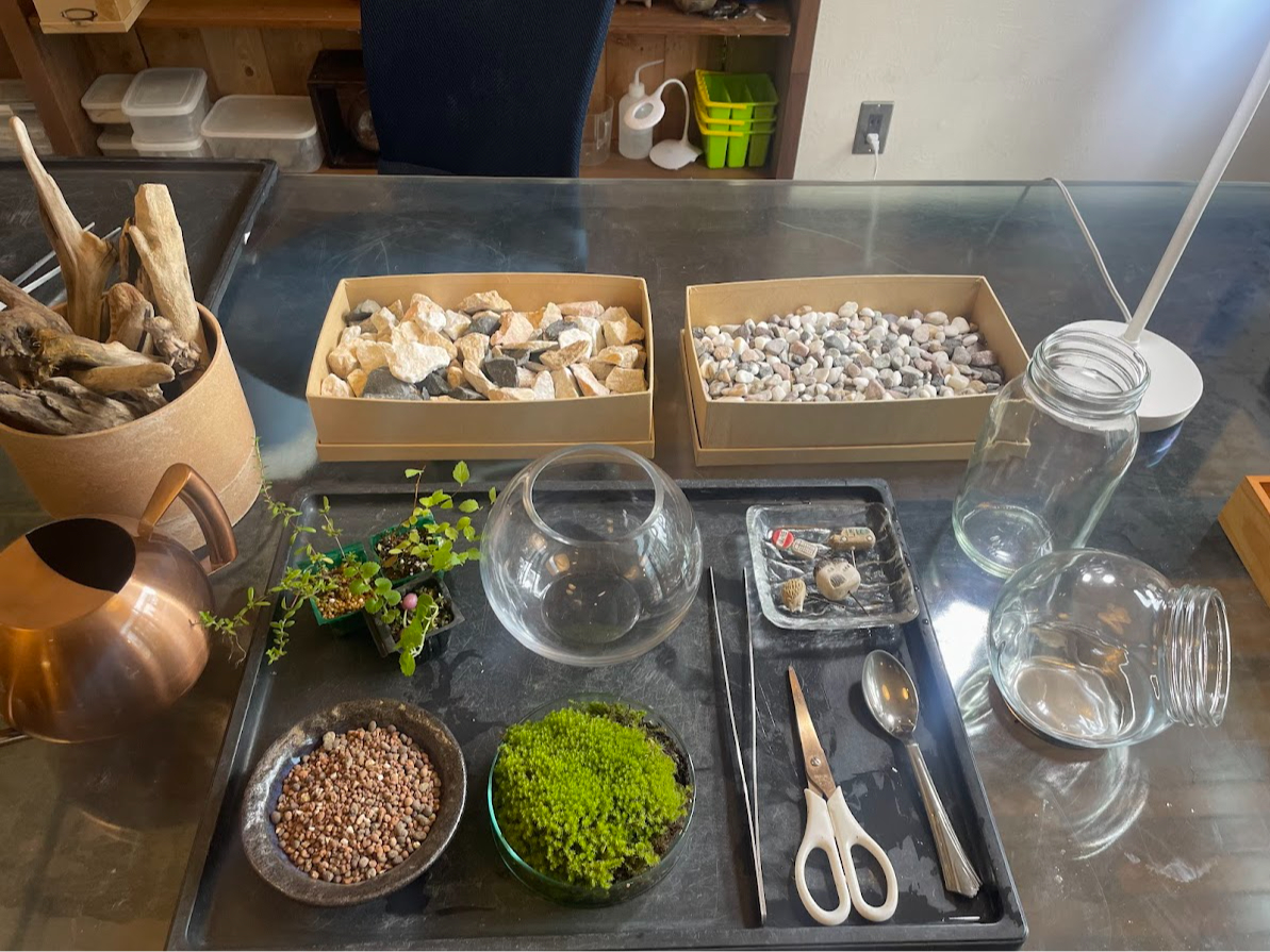 この材料を使って、テラリウムを制作していきます。