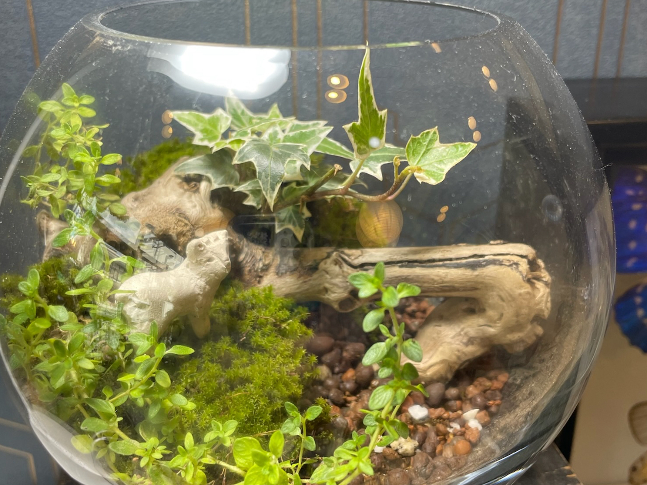 カモシカのいる風景