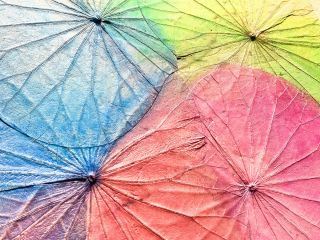 熊本/西熊本/新町/ボタニー/親子/子供/アート/体験