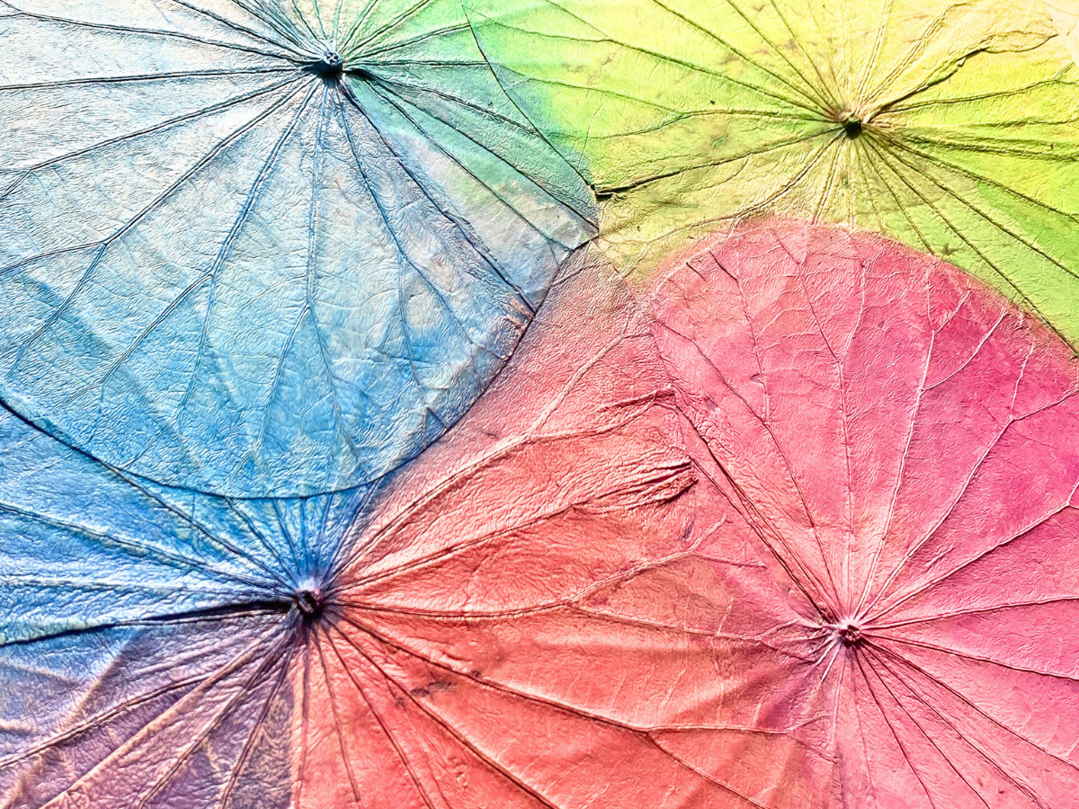 F{/F{/V/{^j[/eq/q/A[g/̌