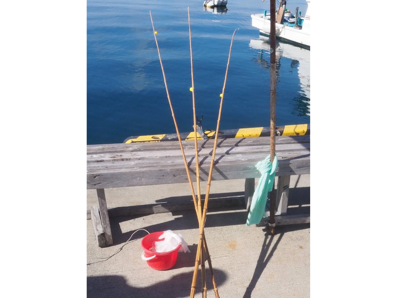 yCނz߂Ă̕CyɎn߂邱ƂłAqlɑlC̊CނB1{ΐFȋނ邱ƂołdI邩yIO܂I