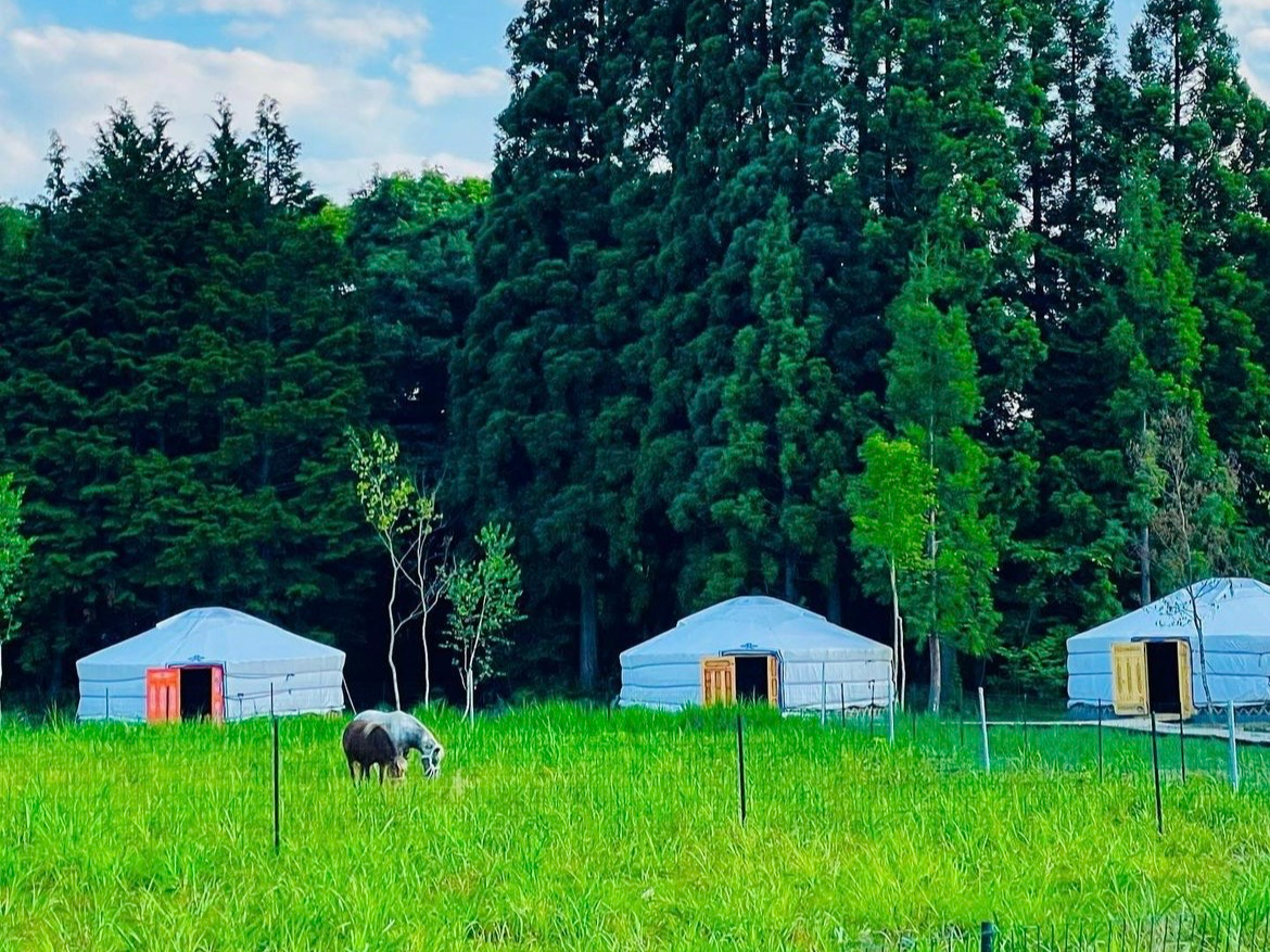 【岐阜・郡上】平日限定プラン≪4人用ゲル≫本場モンゴル産のゲルキャンプ≪ファミリ...