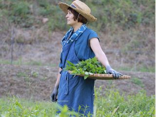 服やエプロンも染めたものです♪