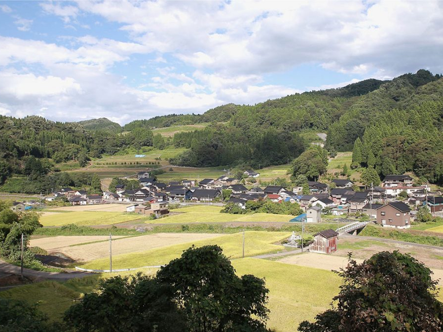 こちらが、藍の畑がある里山の風景です♪