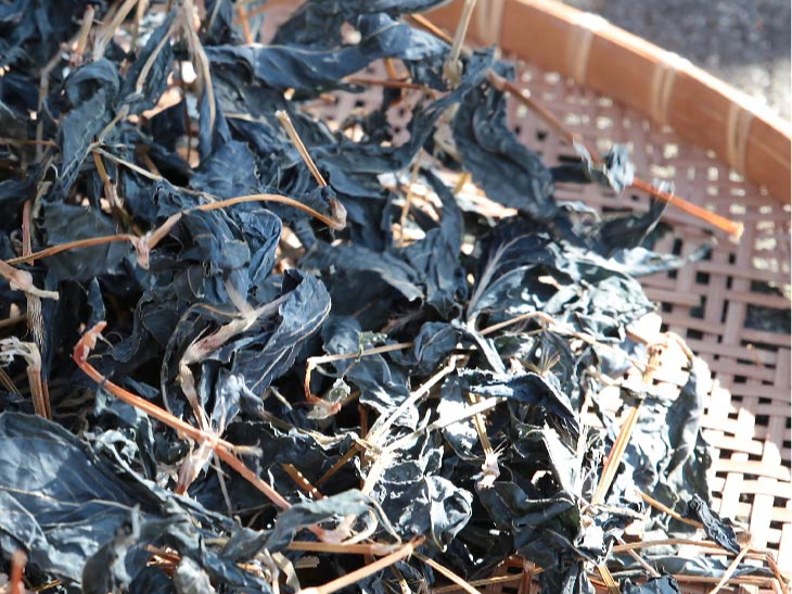 これが、のちのち染料となります♪