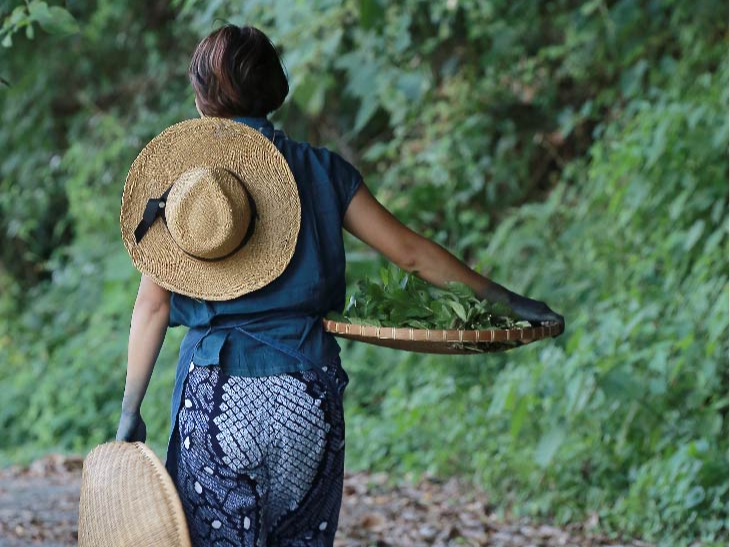 どんな体験が待っているでしょうか?♪