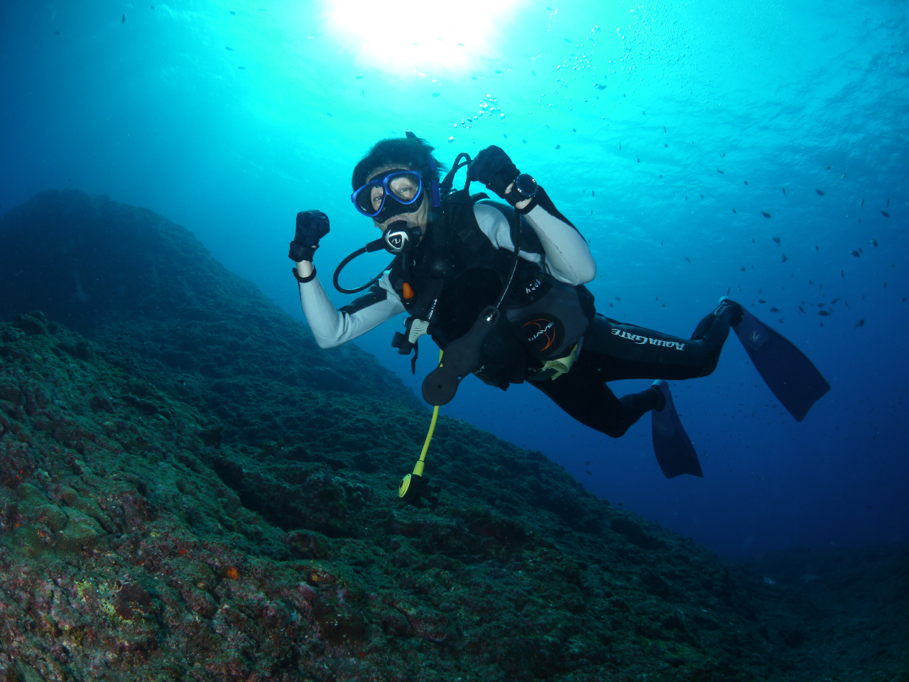 【超得】富戸2ビーチ・ファンダイビング【ブランク&初心者限定】