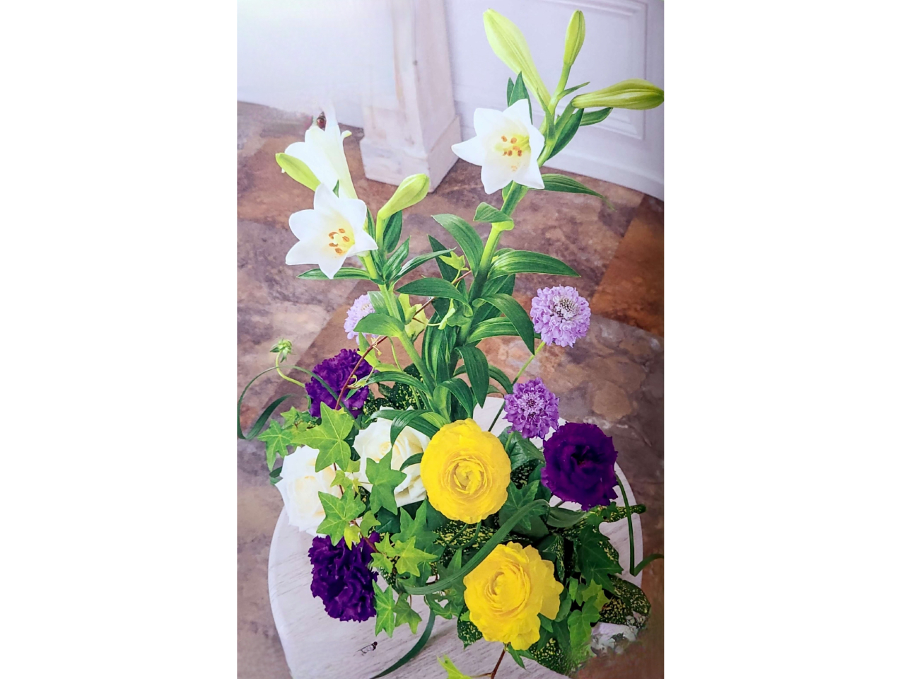 �t���[�i �����苳���̎ʐ^4