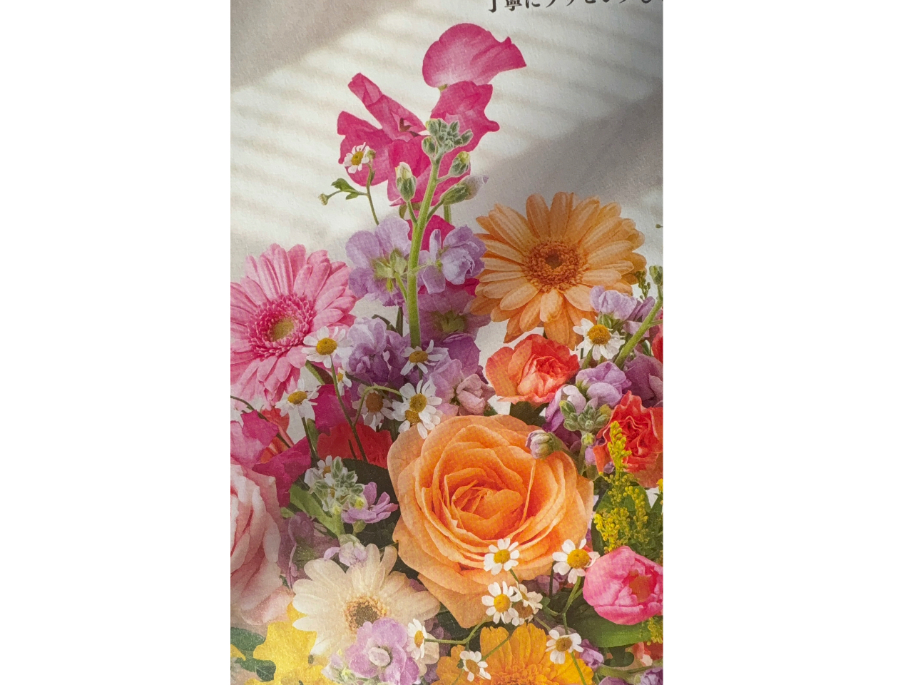 1��28���͏t�F�̃u�[�P�ł��B