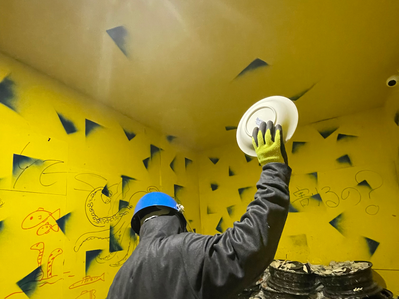 r肨M̕₷  ɒ@Ă؂[oI