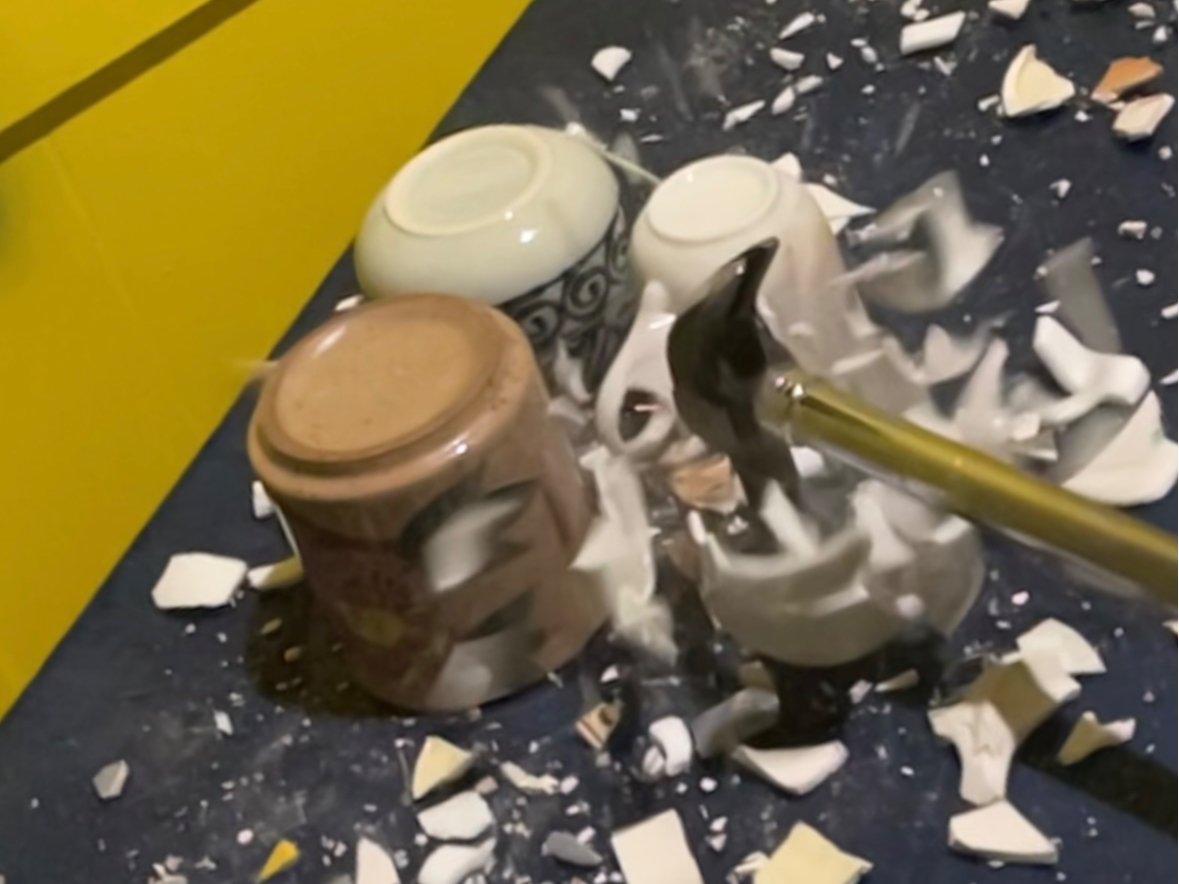 邨M͕spiŏW܂M  M100%TCNI