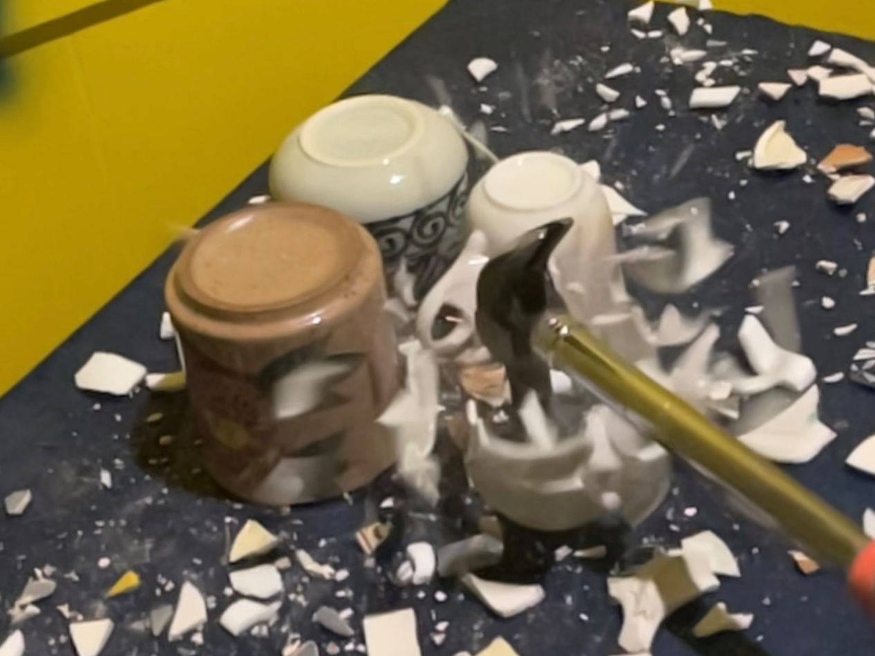 邨M͕spiŏW܂M   M100%TCNցI