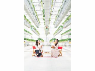 いちご狩りピクニックができます♪