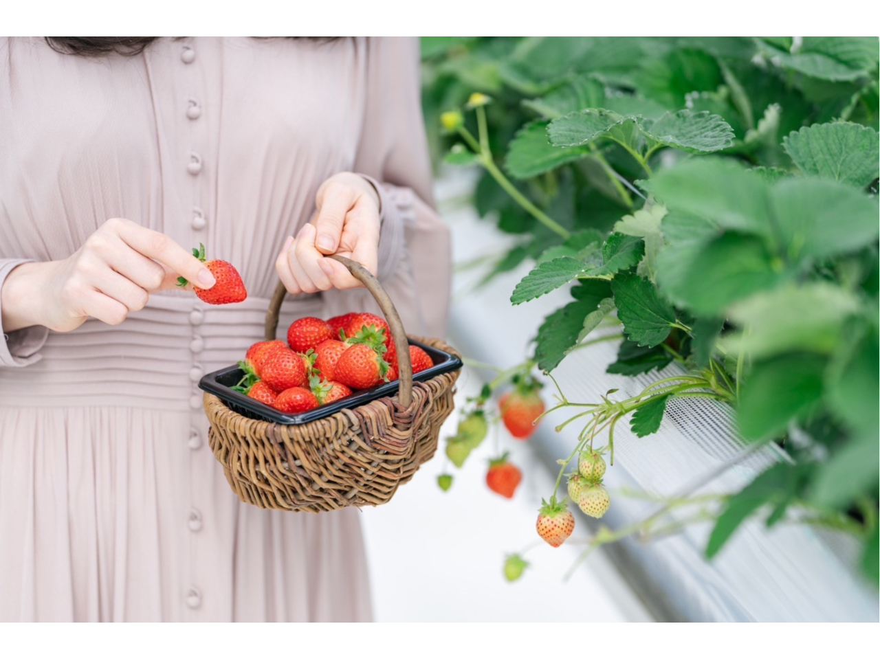 i͑SĂ܂łiڂHׂ܂j