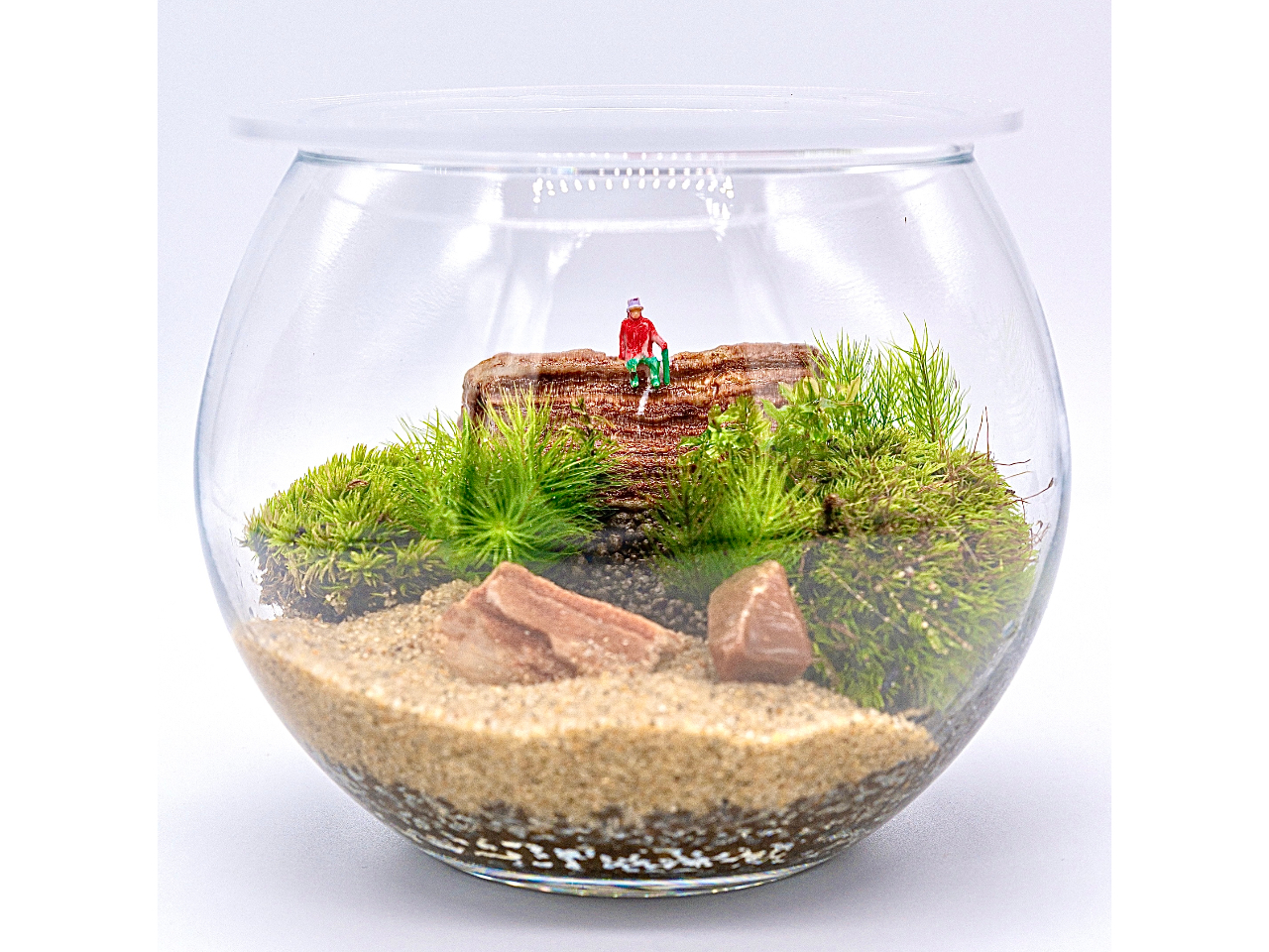 苔テラリウム　コレクション No.１ じゃらん限定！フィギュアプレゼント】（戸塚）苔テラリウム作り体験