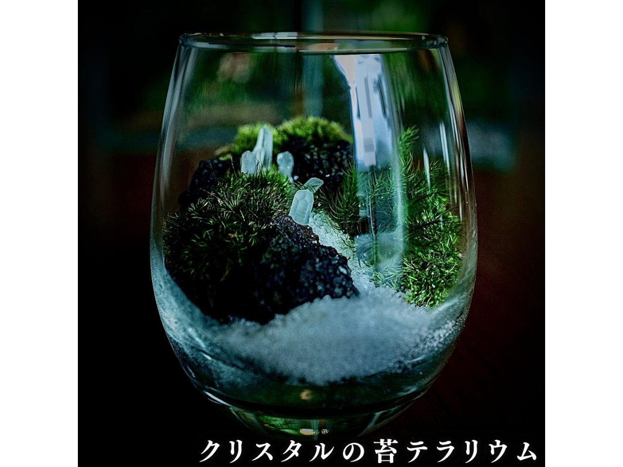 じゃらん限定！フィギュアプレゼント】（戸塚）苔テラリウム作り体験