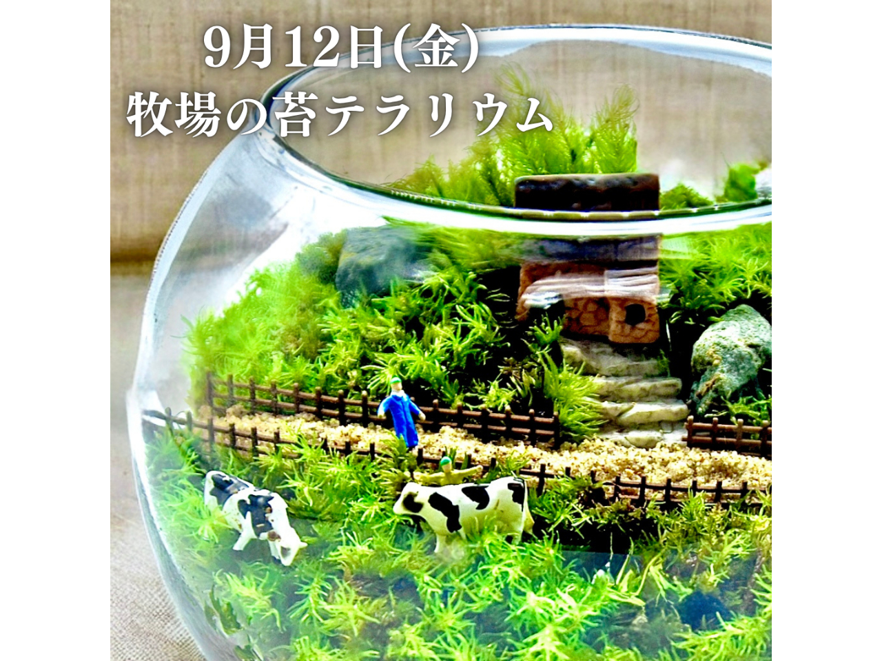 じゃらん限定！フィギュアプレゼント】（平塚）はじめての苔テラリウム