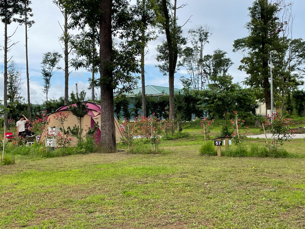 �L�X�Ƃ������R�����Ղ�̕~�n�ł��I