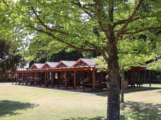 屋根があるので雨天でも安心です。