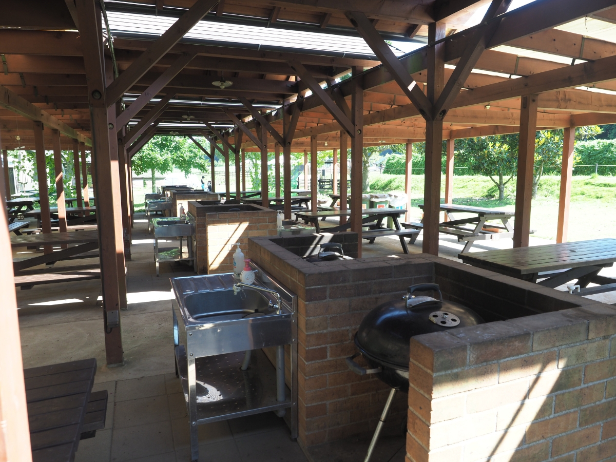 eɃVNA{iOyWeberzĂ܂B